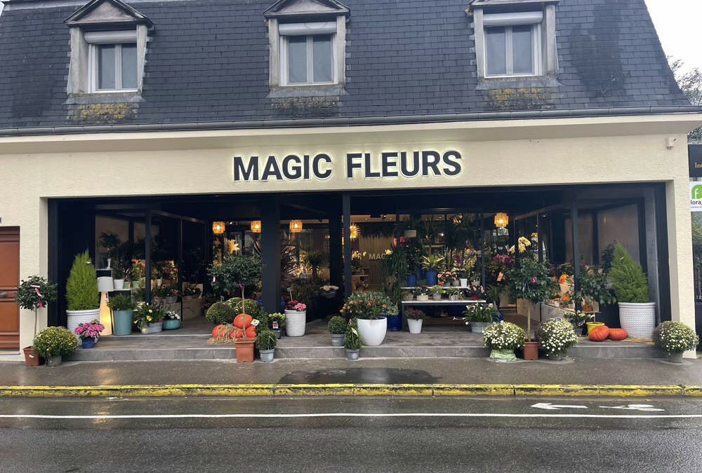 Optimisez votre Visibilité : Pose d’Enseigne Lumineuse pour Magasins et Établissements Professionnels