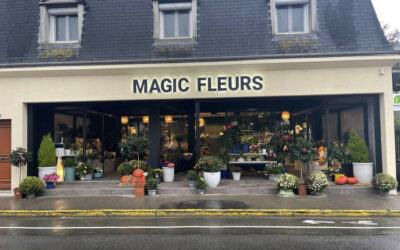 Optimisez votre Visibilité : Pose d’Enseigne Lumineuse pour Magasins et Établissements Professionnels